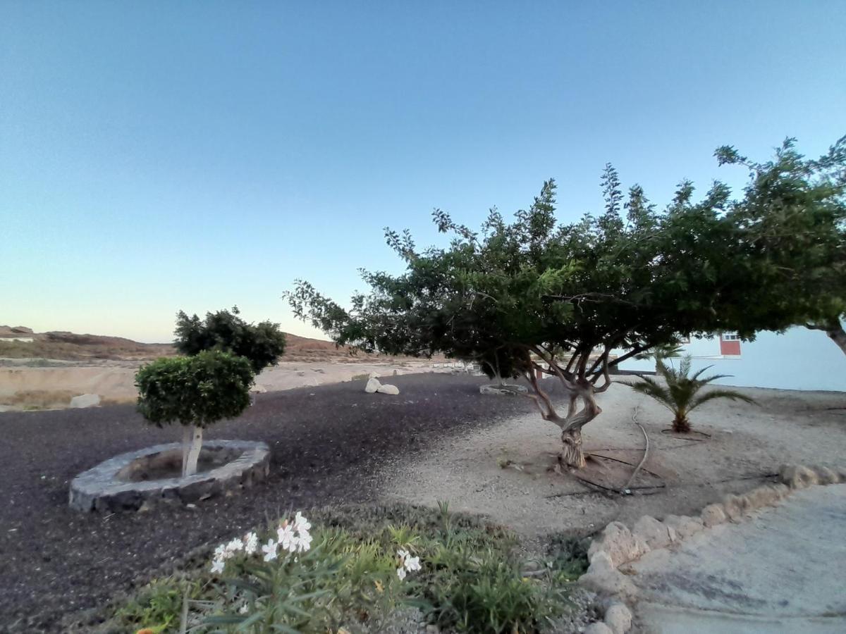 סן מיגל דה אבונה Tenerife Homestay מראה חיצוני תמונה