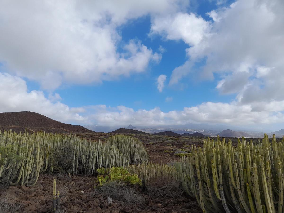סן מיגל דה אבונה Tenerife Homestay מראה חיצוני תמונה