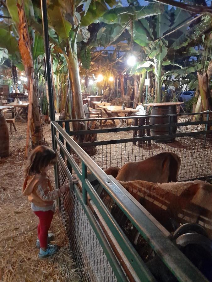 סן מיגל דה אבונה Tenerife Homestay מראה חיצוני תמונה