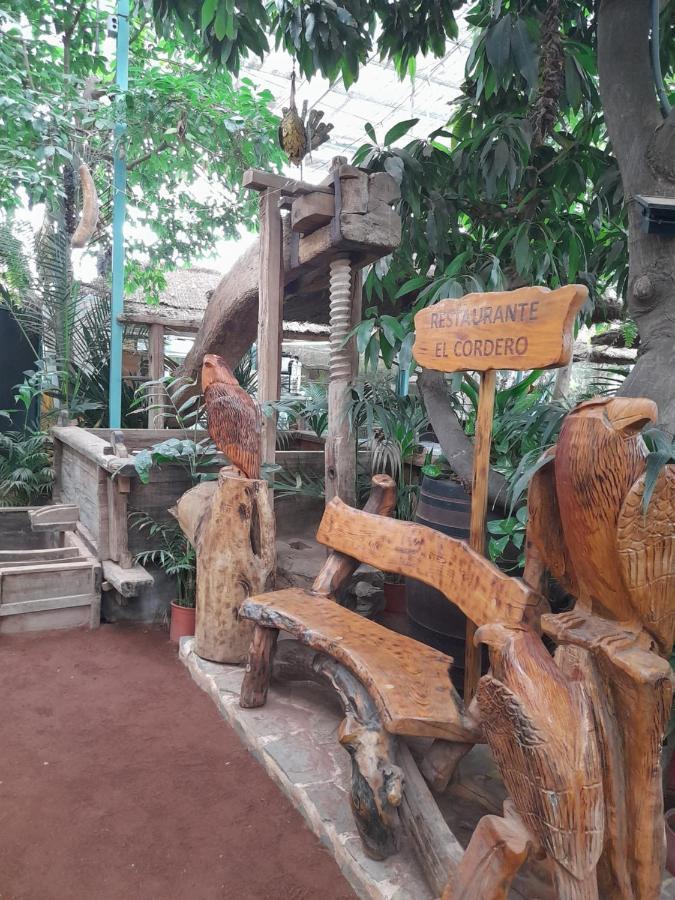 סן מיגל דה אבונה Tenerife Homestay מראה חיצוני תמונה